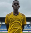 David Chisom Otugo